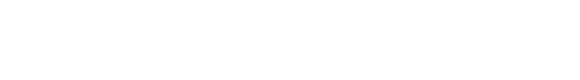 Mason Braun international Logo